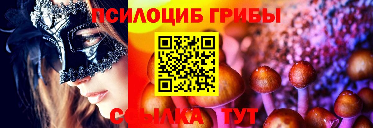 Корсаков  Псилоцибиновые грибы GOLDEN TEACHER  Вход с VPN 